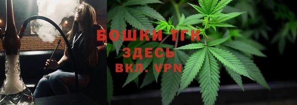 СК Саяногорск