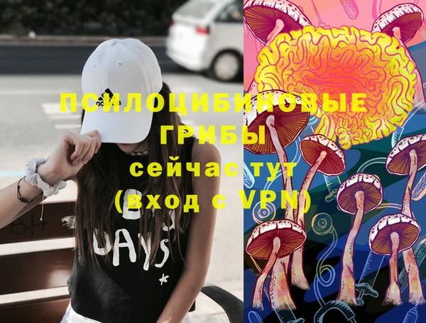 мдпв Протвино