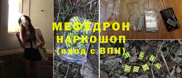 гашик Богданович