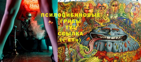 сатива Богородск