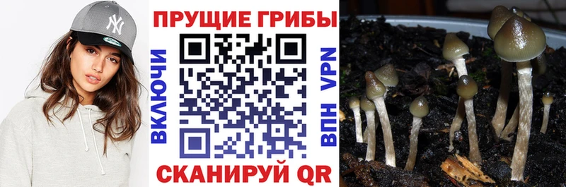 Псилоцибиновые грибы Psilocybe  Игра 